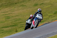 PJ-Motorsport-2019;anglesey-no-limits-trackday;anglesey-photographs;anglesey-trackday-photographs;enduro-digital-images;event-digital-images;eventdigitalimages;no-limits-trackdays;peter-wileman-photography;racing-digital-images;trac-mon;trackday-digital-images;trackday-photos;ty-croes